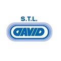 STL-David